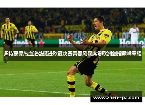 多特蒙德热血逆袭挺进欧冠决赛青春风暴席卷欧洲剑指巅峰荣耀